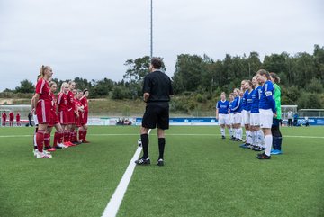 Bild 5 - F FSG Kaltenkirchen - SV Wahlstedt : Ergebnis: 6:1